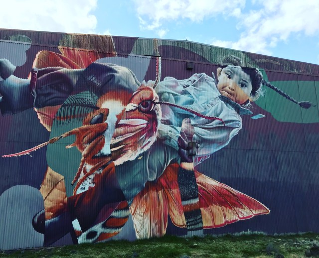 2018-05-18 14.29.00 hdr