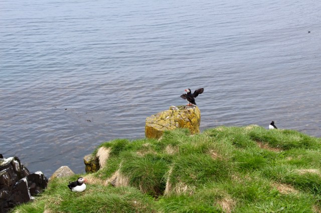 2A7D9036-C577-4ED4-9064-B2935C42A738