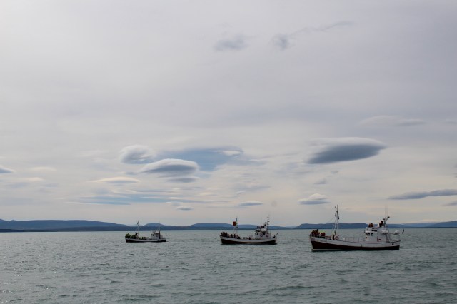 36D87526-4B05-4267-B445-95BCCEBFE4D7