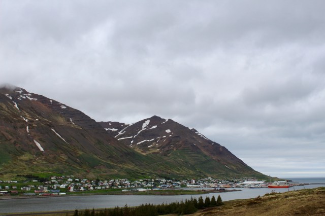 3E932D72-E1F4-4B07-983D-6ED465E76FA0