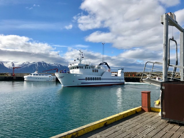 55C21F67-721E-4ED9-835A-1CB98459DD86