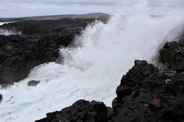 928A3ACA-7D1D-4EAD-A4B2-CDF4B0F505CC