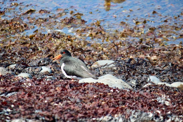 ACEFD247-C206-40B0-A885-D29F03AAF726