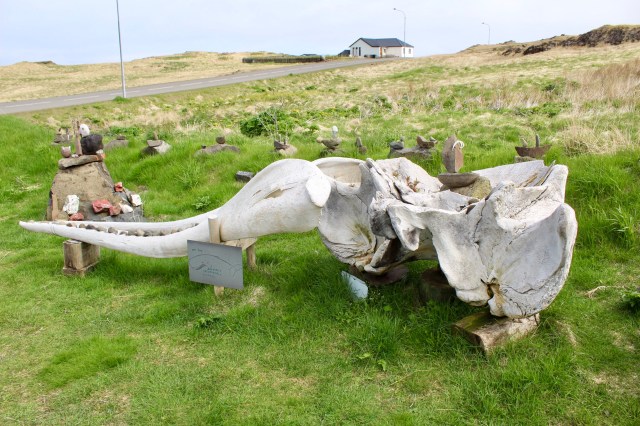 CA4DABBF-F8FE-4156-BA34-90D2BDF4CF9C