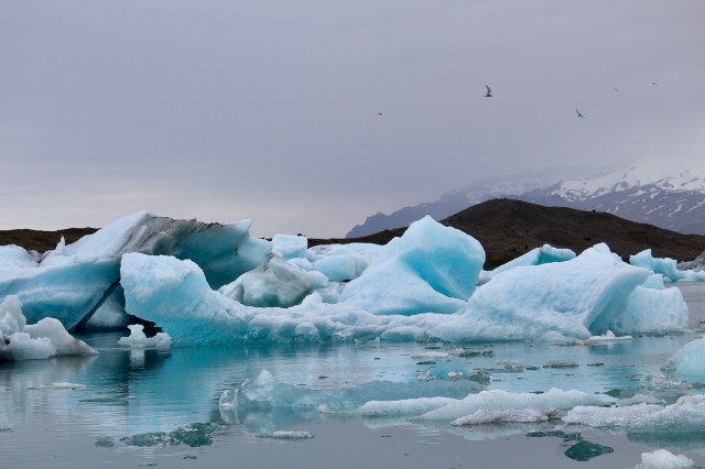 E204F26F-EE6B-4AFB-8C0A-53AA2D49622F