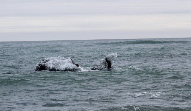 E2CB00B8-3919-44C6-A6BA-45BB288607CE