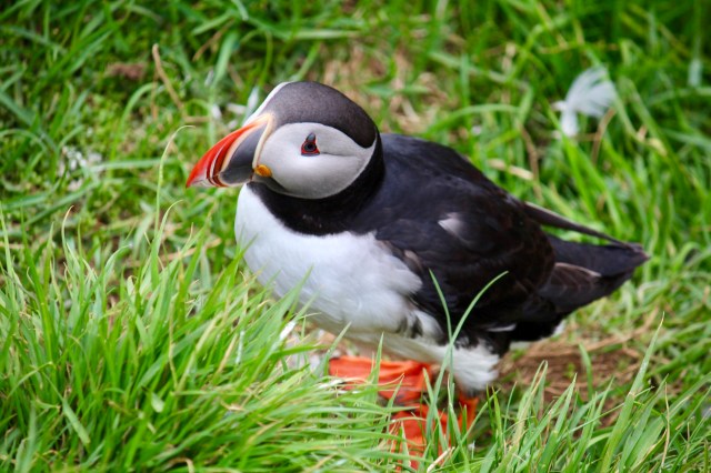 EA0CA39B-F627-4CC2-B093-F640550F7180